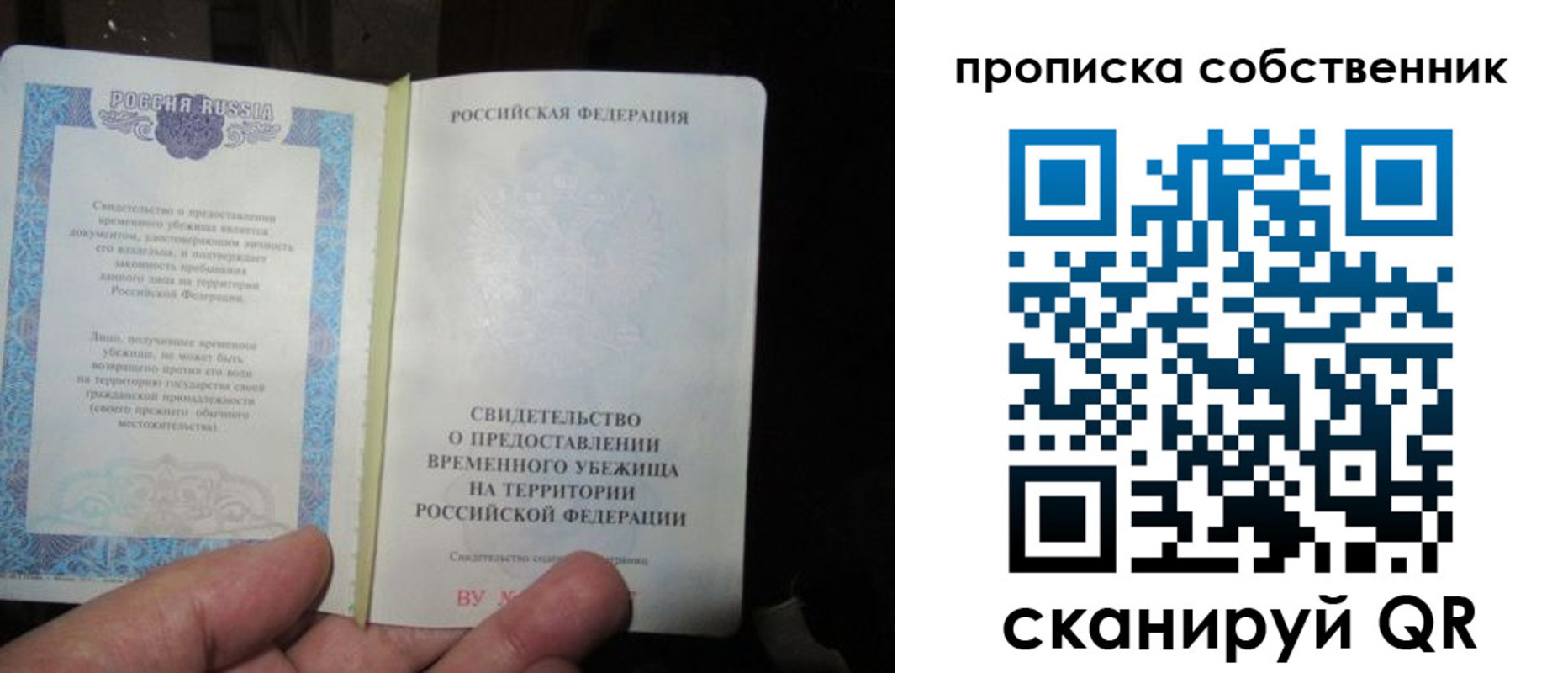 прописка паспорт в Зиме